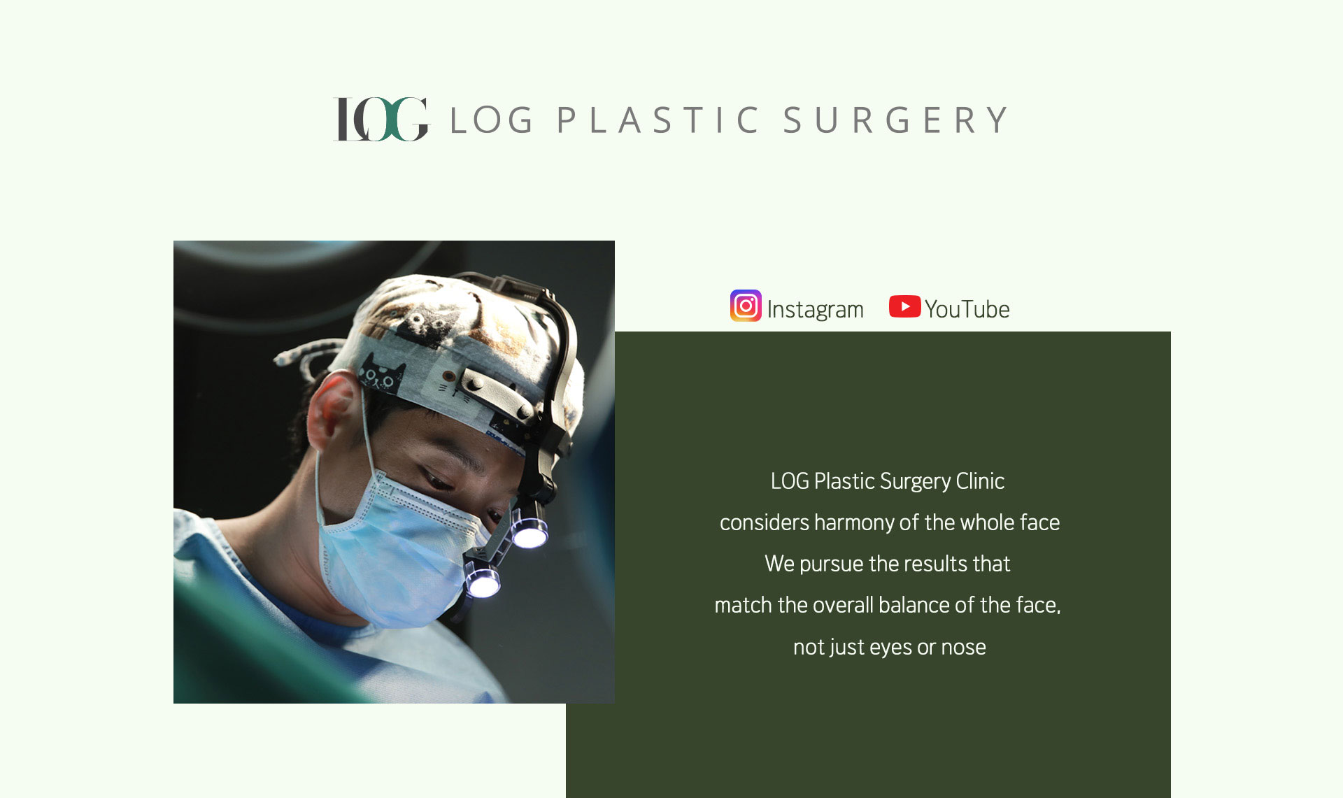 LOG PLASTIC SURGERY